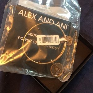 Alex and Ani Bracelet Letter E